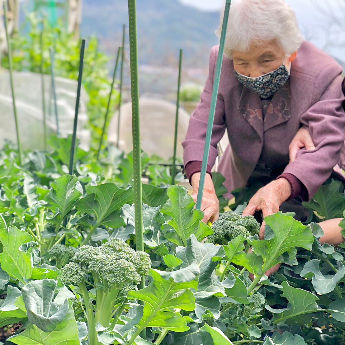 住宅型有料老人ホーム佐世保わかばテラス里山療法ギャラリーサムネイル-6